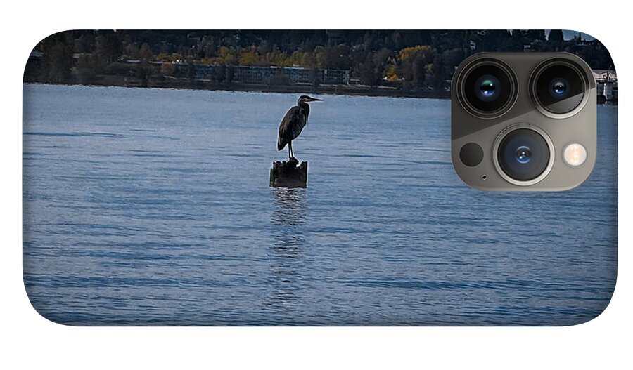 Seagull  1 - Phone Case
