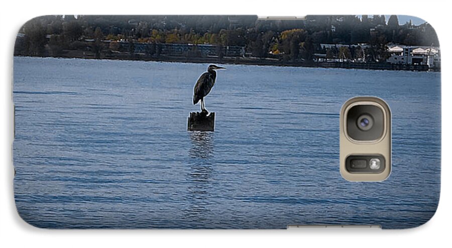 Seagull  1 - Phone Case