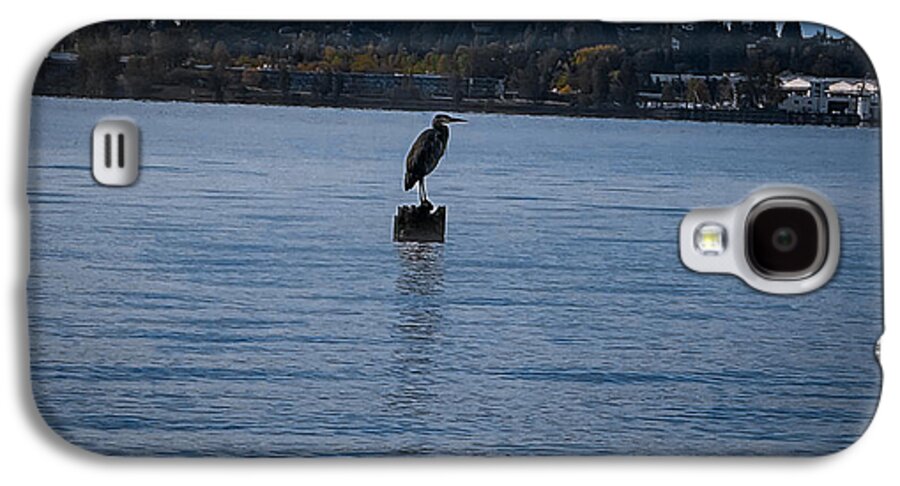 Seagull  1 - Phone Case