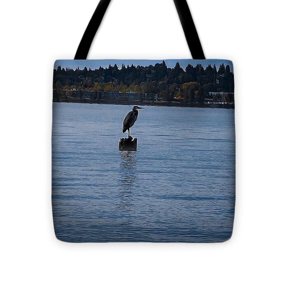 Seagull  1 - Tote Bag