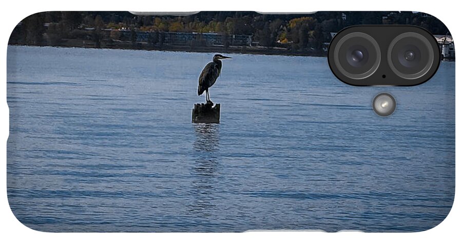 Seagull  1 - Phone Case