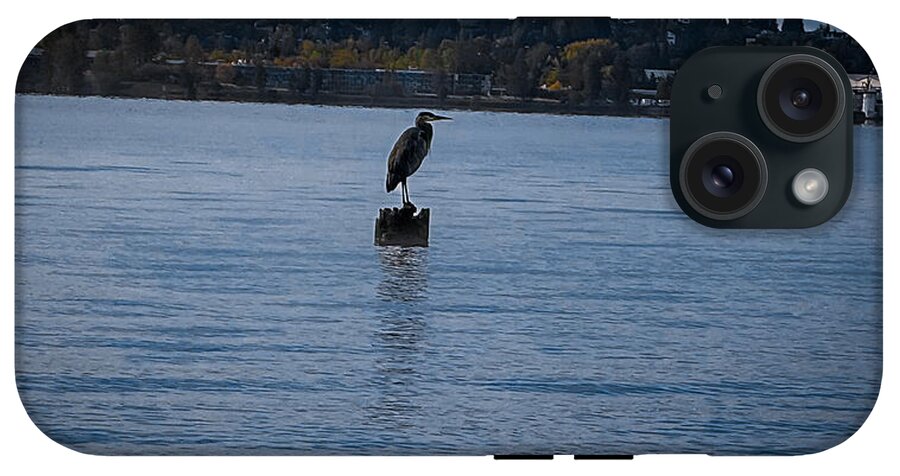 Seagull  1 - Phone Case