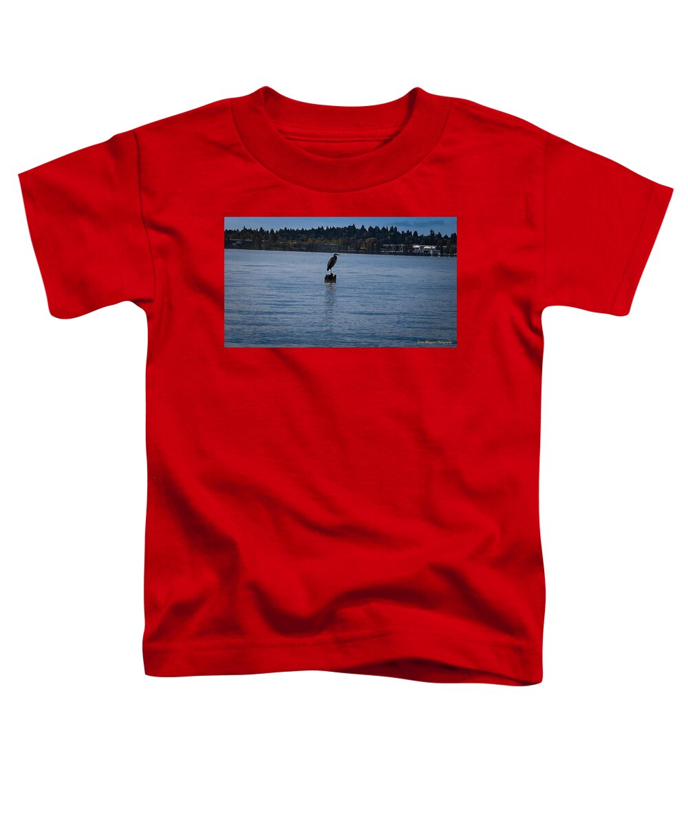 Seagull  #1 - Toddler T-Shirt
