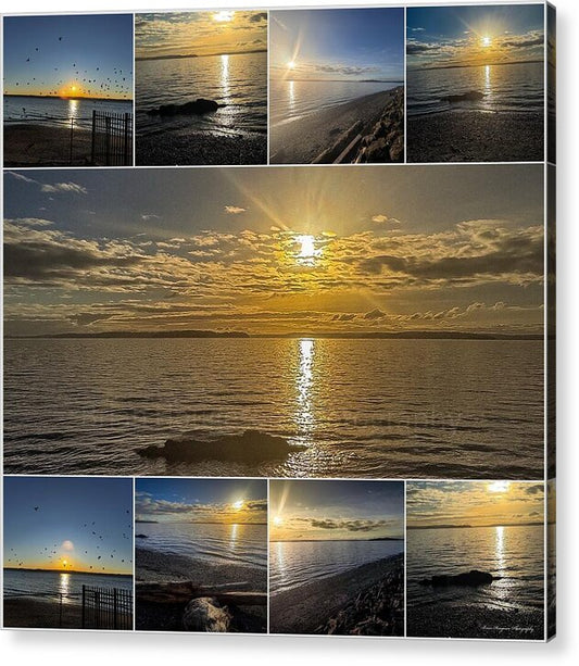 Sunsets  1 - Acrylic Print