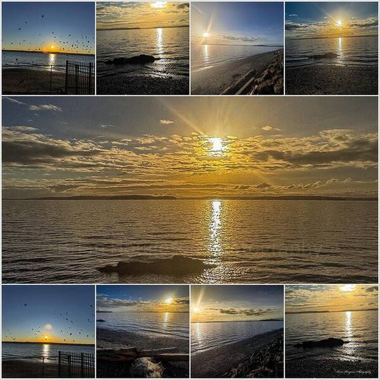 Sunsets  1 - Art Print