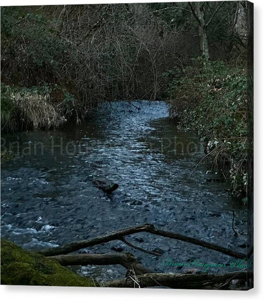 Water  1 - Canvas Print