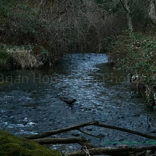Water  1 - Art Print