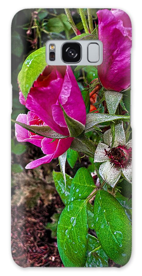 After the rain  - Phone Case