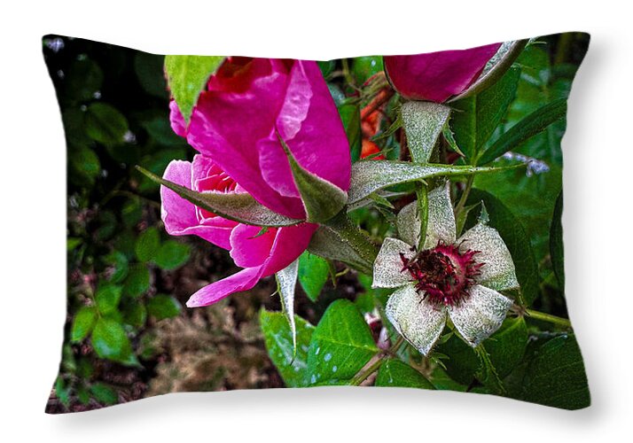 After the rain  - Throw Pillow