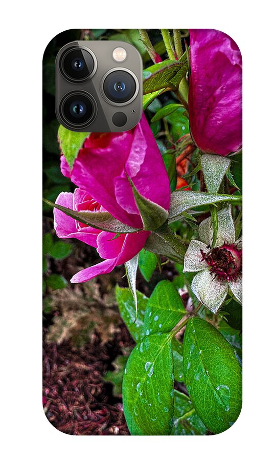 After the rain  - Phone Case