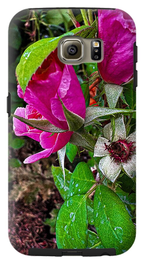 After the rain  - Phone Case