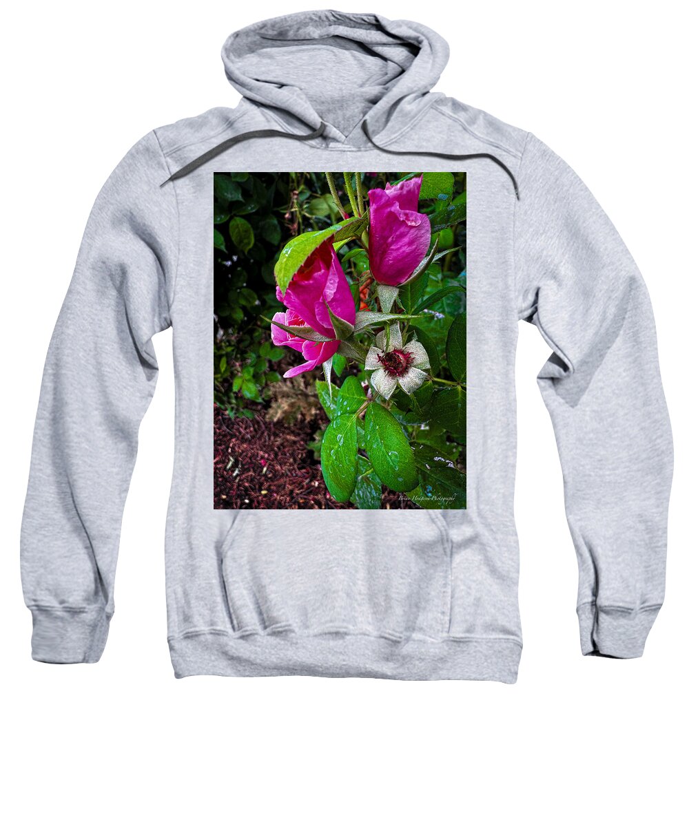 After the rain  - Sweatshirt