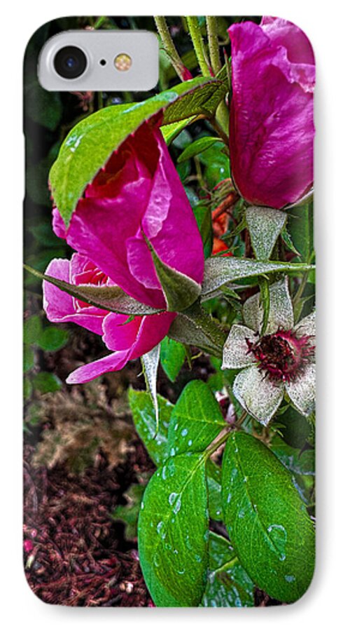 After the rain  - Phone Case
