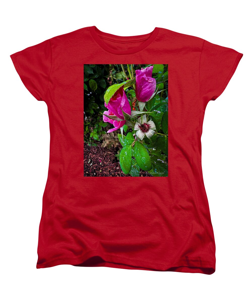 After the rain  - Women's T-Shirt (Standard Fit)