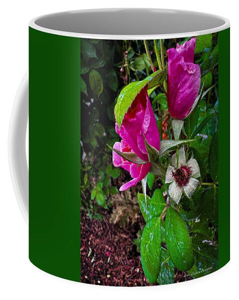 After the rain  - Mug