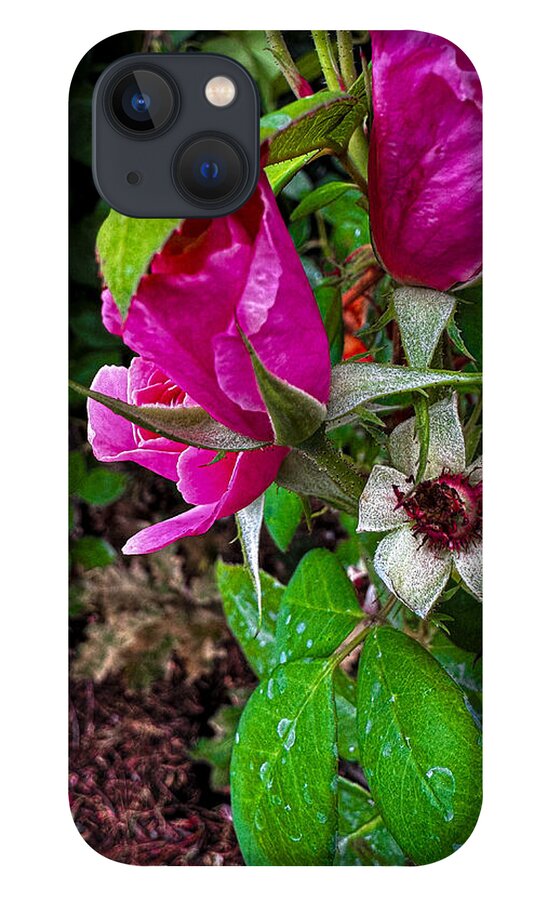 After the rain  - Phone Case