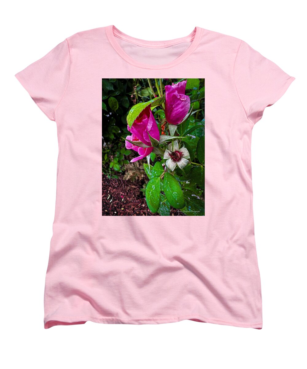 After the rain  - Women's T-Shirt (Standard Fit)