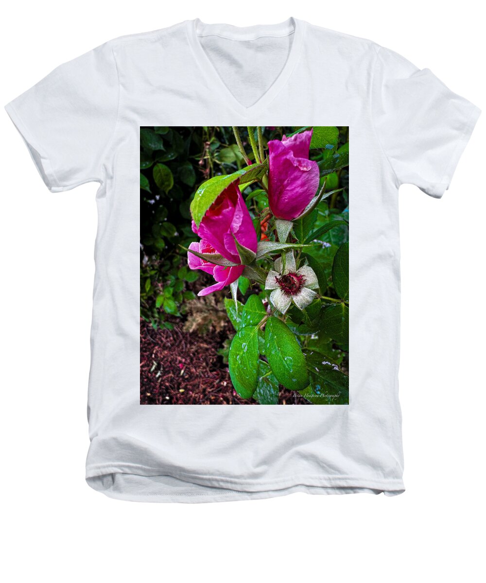 After the rain  - Men's V-Neck T-Shirt