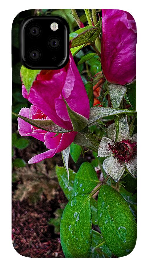 After the rain  - Phone Case