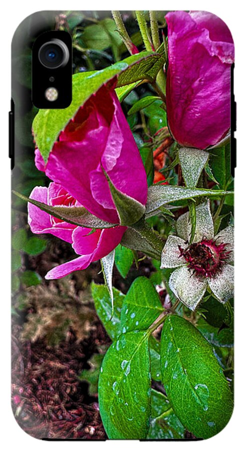 After the rain  - Phone Case