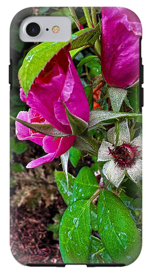 After the rain  - Phone Case