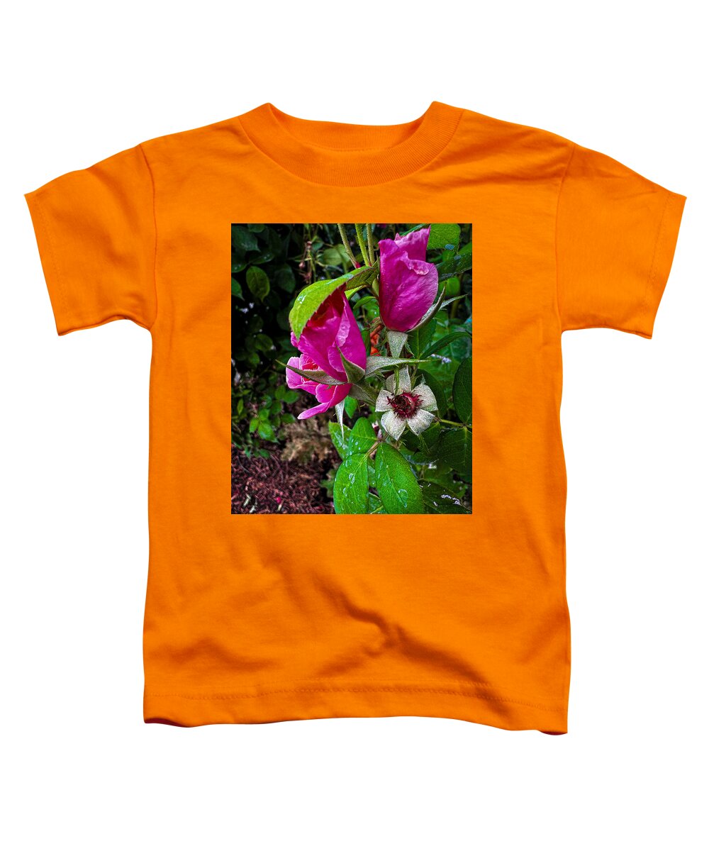 After the rain  - Toddler T-Shirt