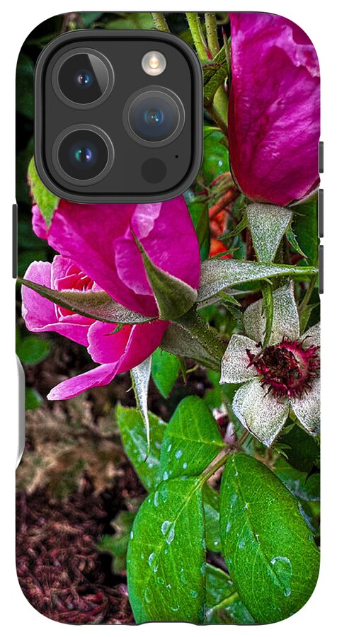 After the rain  - Phone Case