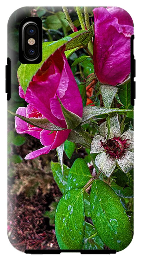 After the rain  - Phone Case
