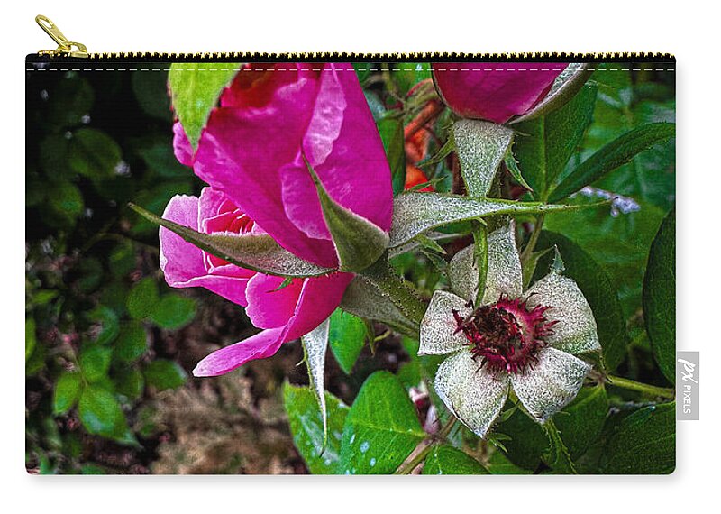 After the rain  - Zip Pouch