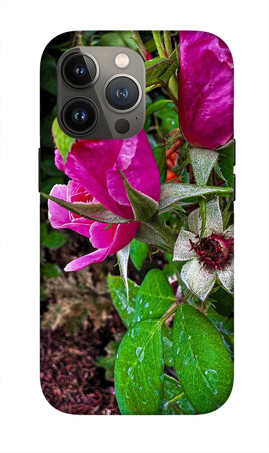 After the rain  - Phone Case