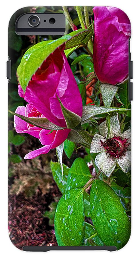 After the rain  - Phone Case