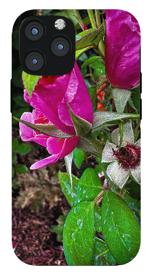 After the rain  - Phone Case