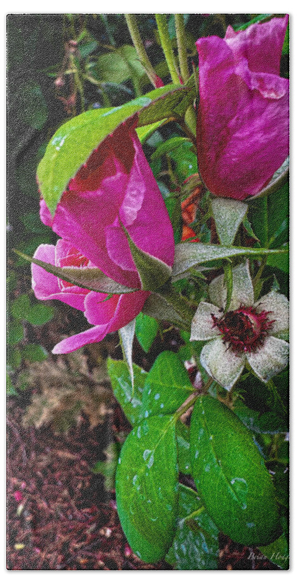 After the rain  - Beach Towel