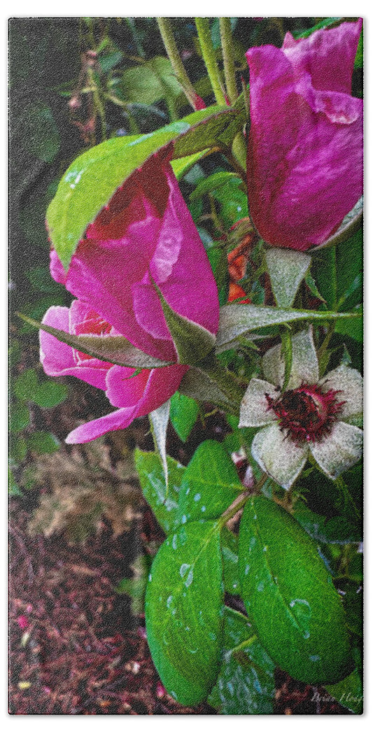 After the rain  - Beach Towel