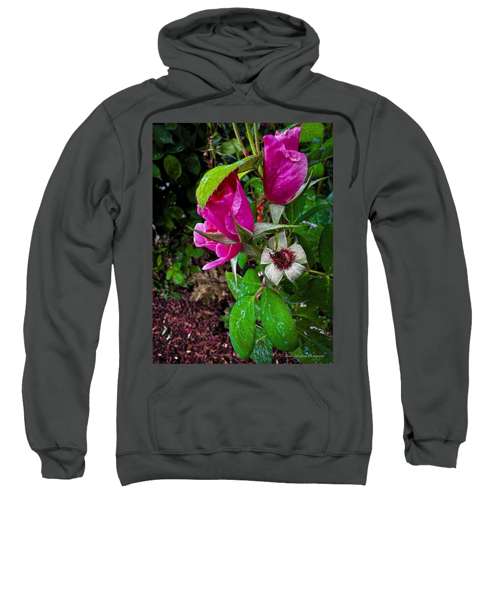 After the rain  - Sweatshirt