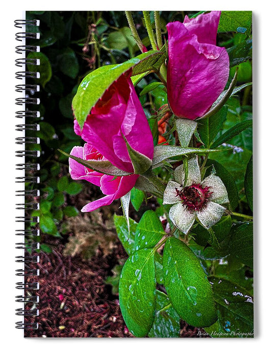 After the rain  - Spiral Notebook