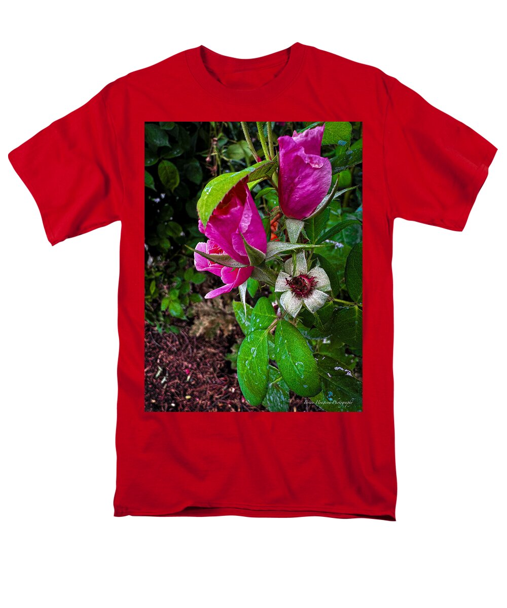 After the rain  - Men's T-Shirt  (Regular Fit)