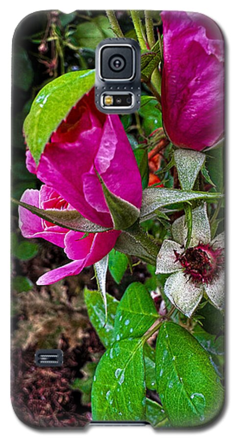 After the rain  - Phone Case