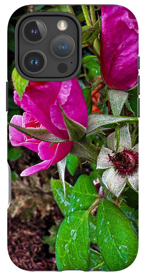 After the rain  - Phone Case