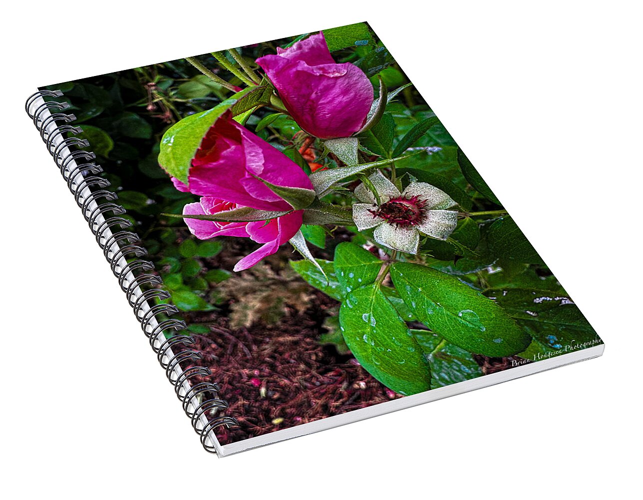After the rain  - Spiral Notebook