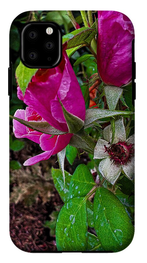 After the rain  - Phone Case