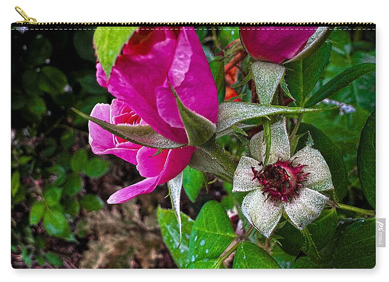 After the rain  - Zip Pouch