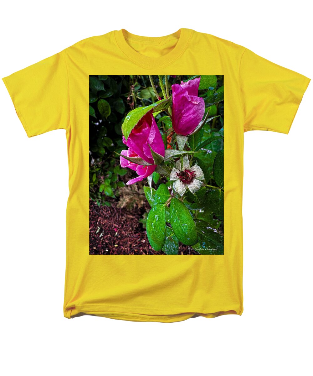 After the rain  - Men's T-Shirt  (Regular Fit)