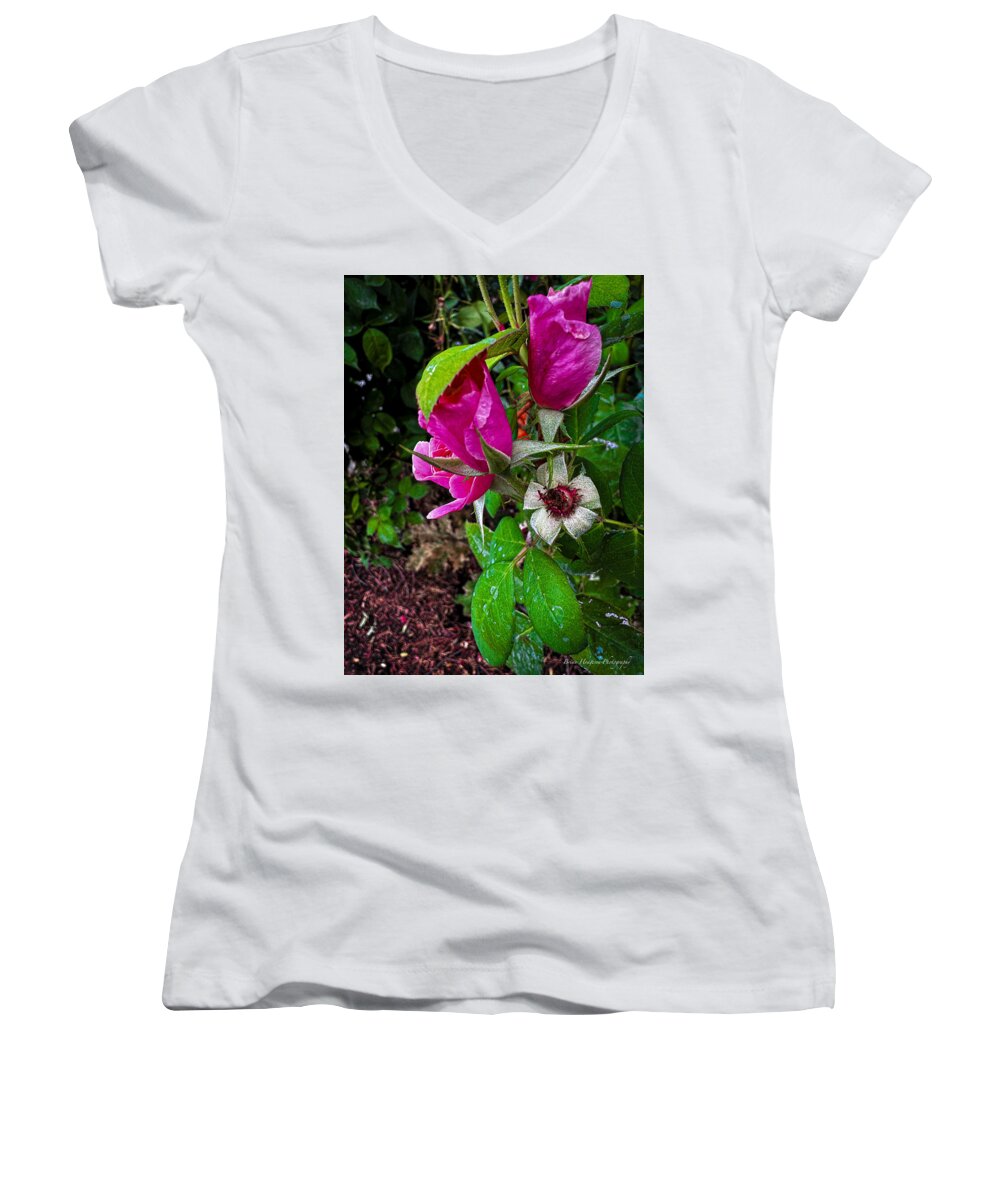 After the rain  - Women's V-Neck