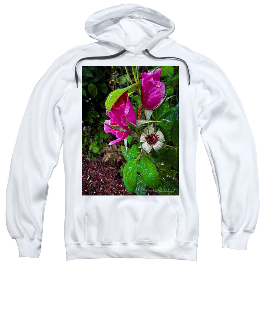 After the rain  - Sweatshirt