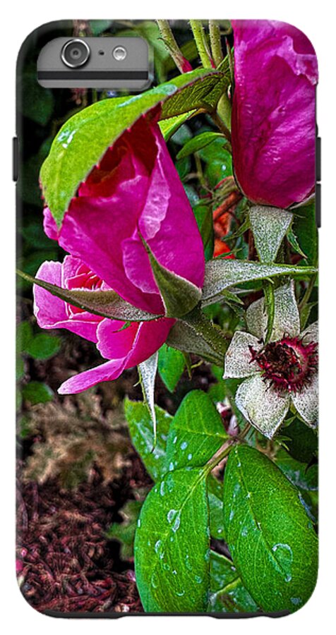 After the rain  - Phone Case