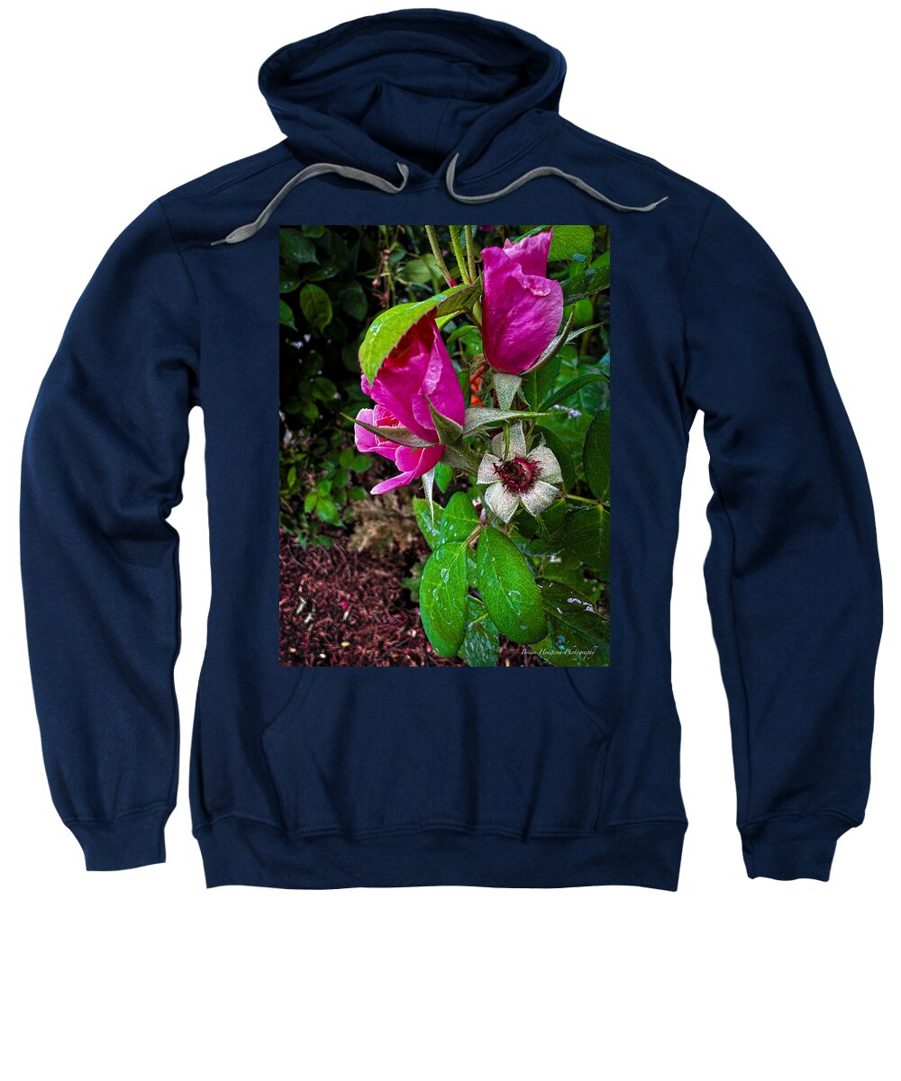 After the rain  - Sweatshirt