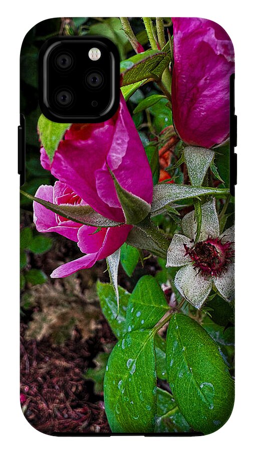 After the rain  - Phone Case