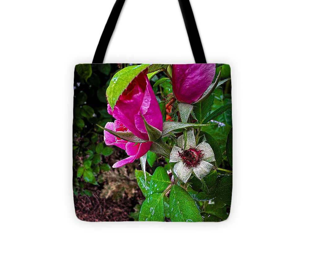 After the rain  - Tote Bag