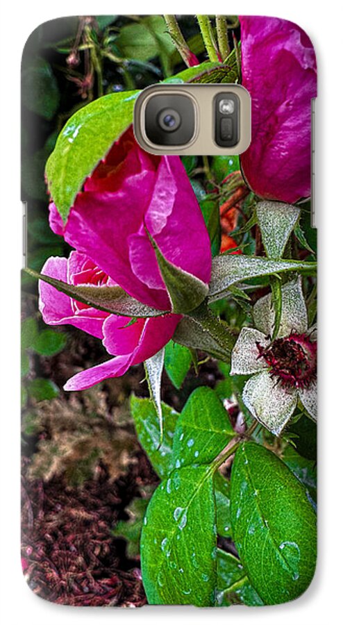 After the rain  - Phone Case